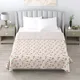 Double__BEDSHEETDEKHO