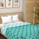 Double__BEDSHEETDEKHO