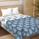 Double__BEDSHEETDEKHO