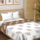 Double__BEDSHEETDEKHO