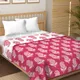 Single__BEDSHEETDEKHO