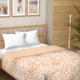 Single__BEDSHEETDEKHO