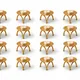 Set Of 16
