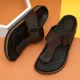 Brown__Royal Cruzz (Shiv Enterprises)