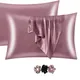 Pink Rose__SHOP 141