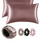 Rose__SHOP 141