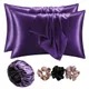 Purple__SHOP 141