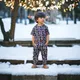Brown black__Nextfield
