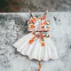 Orange White__Nextfield
