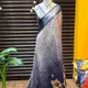 Blue__Maasari