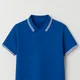 Royal Blue__Stylophile