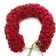 Maroon__NANDITA