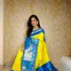 Multicolor__Saree Maniya