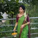 Perot__VIANTA SAREE