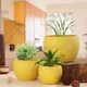 Yellow__Homspurts