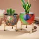 Multicolor__Homspurts