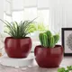 Red__Homspurts