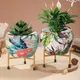 Multicolor__Homspurts