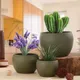 Green__Homspurts