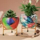 Multicolor__Homspurts