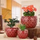 Pink__Homspurts