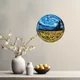 Multicolour__Homspurts