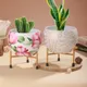 Multicolor__Homspurts
