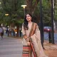 Chiku colour__Jaipur Trendz