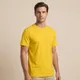 Yellow__Oshen