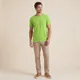 Light Green__Oshen