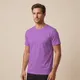 Purple__Oshen