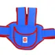 Blue__VParents