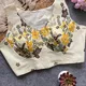 YELLOW__WOMENIA FASHION 