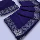 Blue__Indian Saree Art