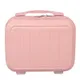 Pink__Polo Class