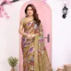 Brown__Anand Saree