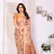 CHIKU__Anand Saree