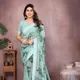 Rama__Anand Saree