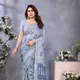 GREY__Anand Saree