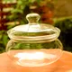 750 ml__VERTIS