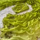 Green__RAJGHARANA