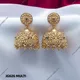Multi Colour__Jewel Glit
