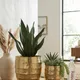 Gold & Green__MY GIFTING BOX
