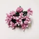 Pink__Nutts