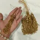 Golden__Nutts
