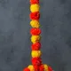 Multicolour__Nutts