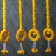 Yellow__Nutts
