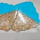 Blue__Nutts
