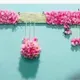 Pink__Nutts