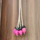 Pink__Nutts